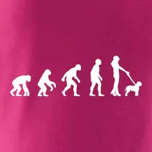 Lagotto romagnolo Evolúcia