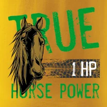 True Horse Power 1 HP