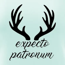 Harry - Expecto patronum Harry - Expecto patronum