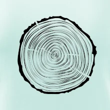 Letokruhy 25 bez veku