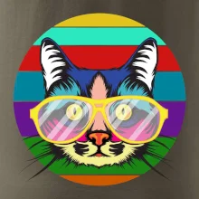 Mačka pri farebnom západe