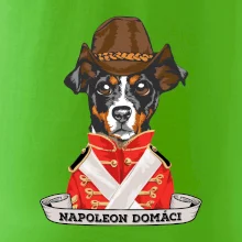 Napoleon domáci kríženec