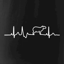 Ekg Capybara
