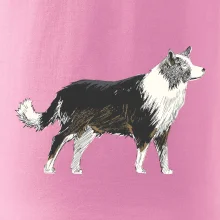 Border kólia kreslená