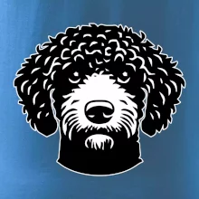 Lagotto romagnolo hlava na prsníku