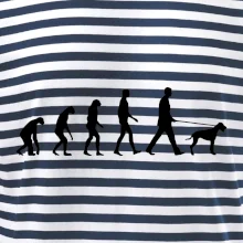 Evolúcia pes stavač Evolúcia pes stavač