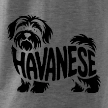 Havanese nápis v tele