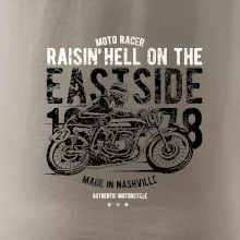 Raisin Hell Moto Racer