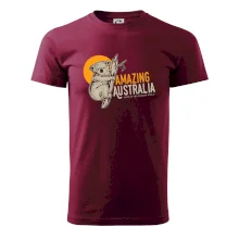 Amazing Australia koala