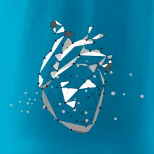 Ľudské srdce Ľudské srdce