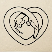 Jazvečík srdca - obrys