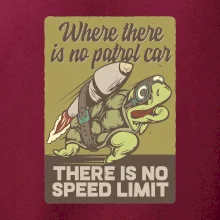 Korytnačka na cestách