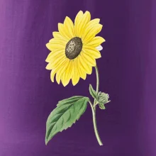 Slnečnica otočená