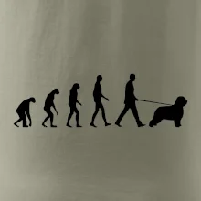 Evolúcia pes Briard