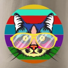 Mačka pri farebnom západe