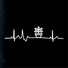 EKG fíkus EKG fíkus