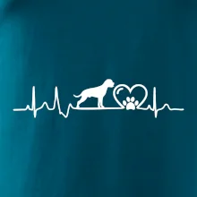 Nemecký boxer EKG Nemecký boxer EKG