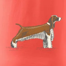 Vintage Springer spaniel