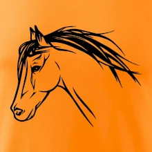 Kôň - hlava celá