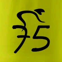 Cyklista oslavuje sedemdesiatpäťpäťky (75)