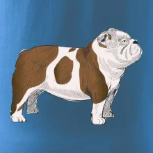 Vintage English bulldog