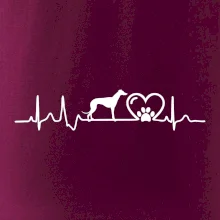 Chrt - Ekg
