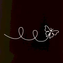 Dráha letu motýľa - slučka Dráha letu motýľa - slučka