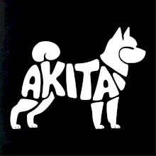 Akita Inu - Nápis v tele