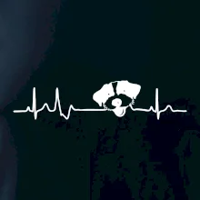 Jack Russell Teriér hrubosrstý Ekg