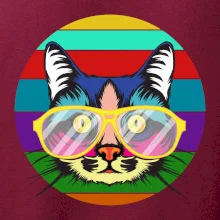 Mačka pri farebnom západe