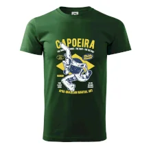 Capoeira  Afro-brazil art Capoeira  Afro-brazil art