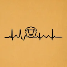 Ekg ovce Ekg ovce