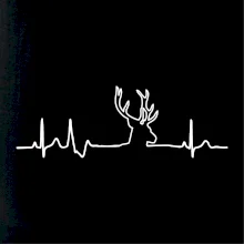 Jeleň EKG Jeleň EKG