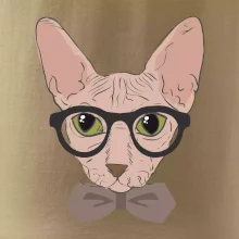 Hipster sphynx Hipster sphynx