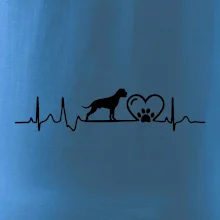 Nemecký boxer EKG