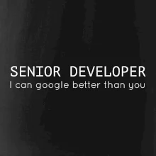 Senior developer google better than you