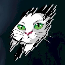 Kočka v roztrženém triku Kočka v roztrženém triku