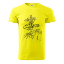 Konope kvietok čiernobiely  