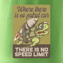 Korytnačka na cestách