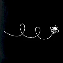 Dráha letu včely - slučka Dráha letu včely - slučka