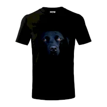 Čierny Labrador fotka