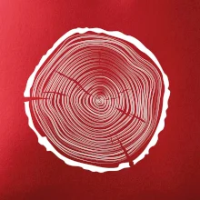 Letokruhy 45 bez veku