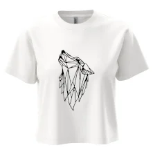 Geometria - vlk - vyjúci