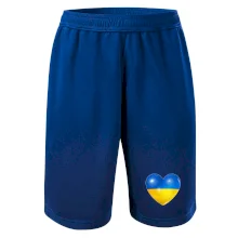 Ukrajina srdce vlajka Ukrajina srdce vlajka