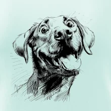 Čiernobiela karikatúra Labrador svetlý