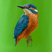 Ľadnáčik kreslený