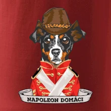 Napoleon domáci kríženec