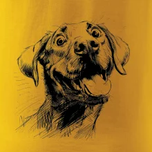 Čiernobiela karikatúra Labrador svetlý