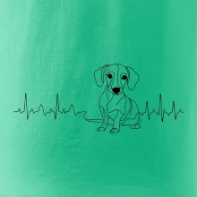 EKG krivka jazvečík