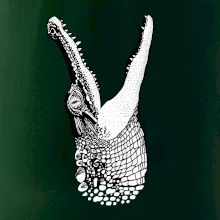 Krokodíl kreslený  (Pecka design)